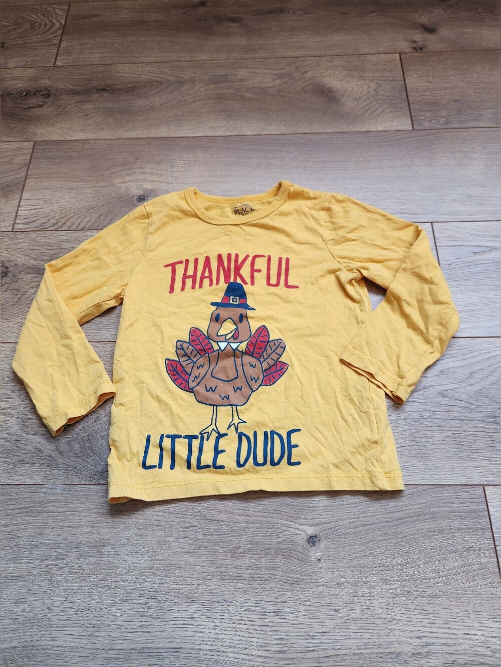 3t Boys Thanksgiving Long Sleeve Short
